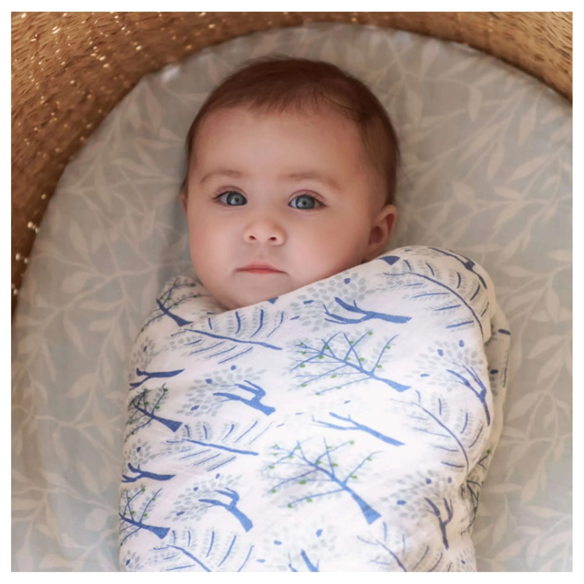 ADEN   ANAIS Organic Cotton Muslin Swaddle (4 Pk) - Outdoors