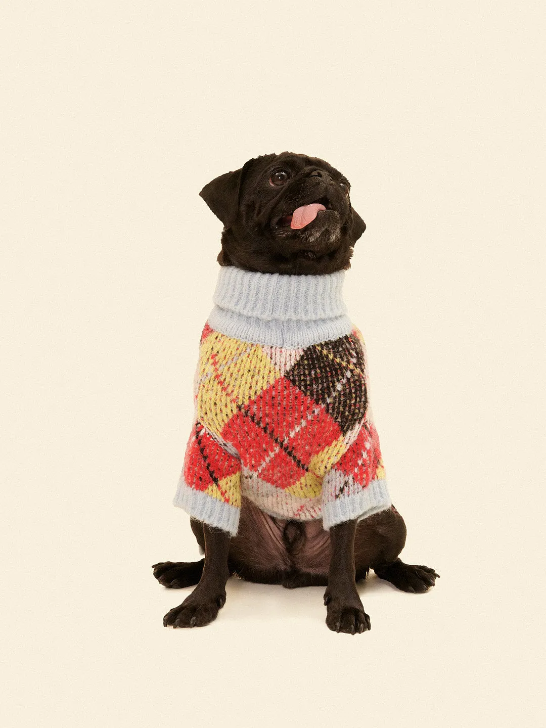 Dog Sweater - Cirque Argyle