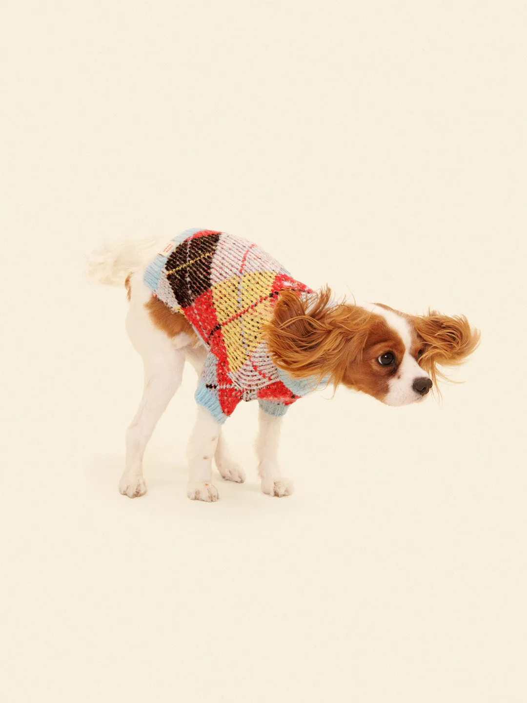 Dog Sweater - Cirque Argyle