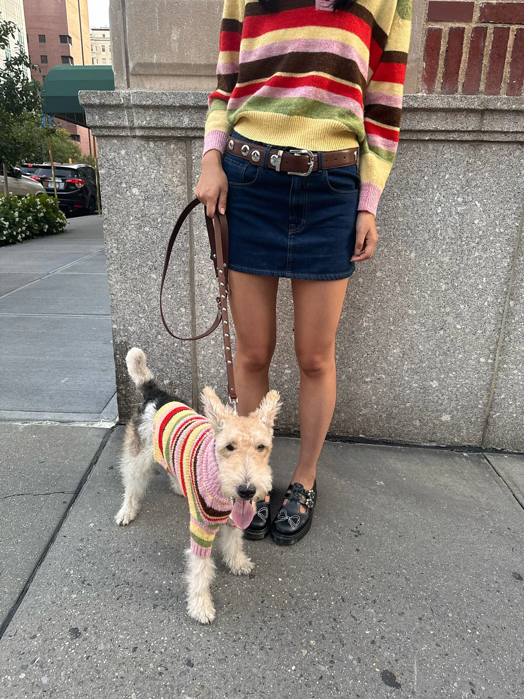 Dog Sweater - Pink Stripe