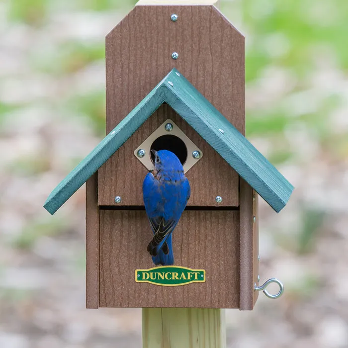 Duncraft Bird-Safe® Out of Reach Bird House