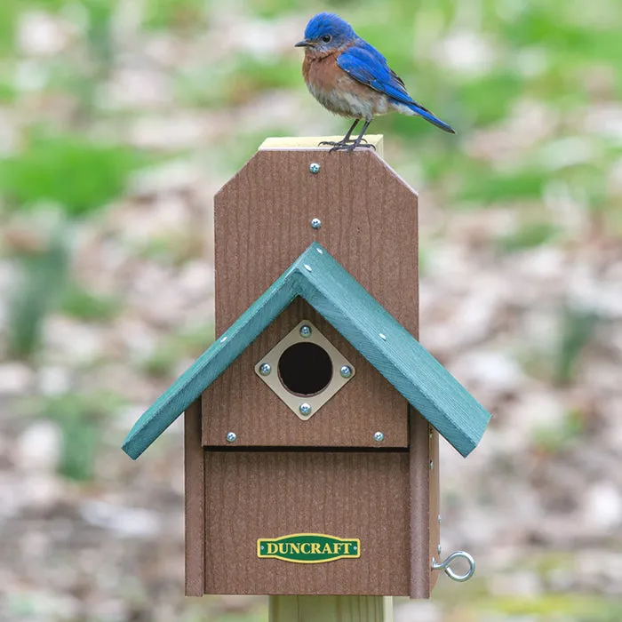 Duncraft Bird-Safe® Out of Reach Bird House