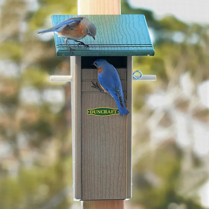 Duncraft Bird-Safe® Slotbox Peterson Bluebird House