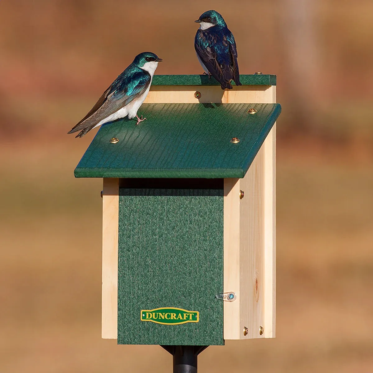 Duncraft Bird-Safe® Swallow Nest Box