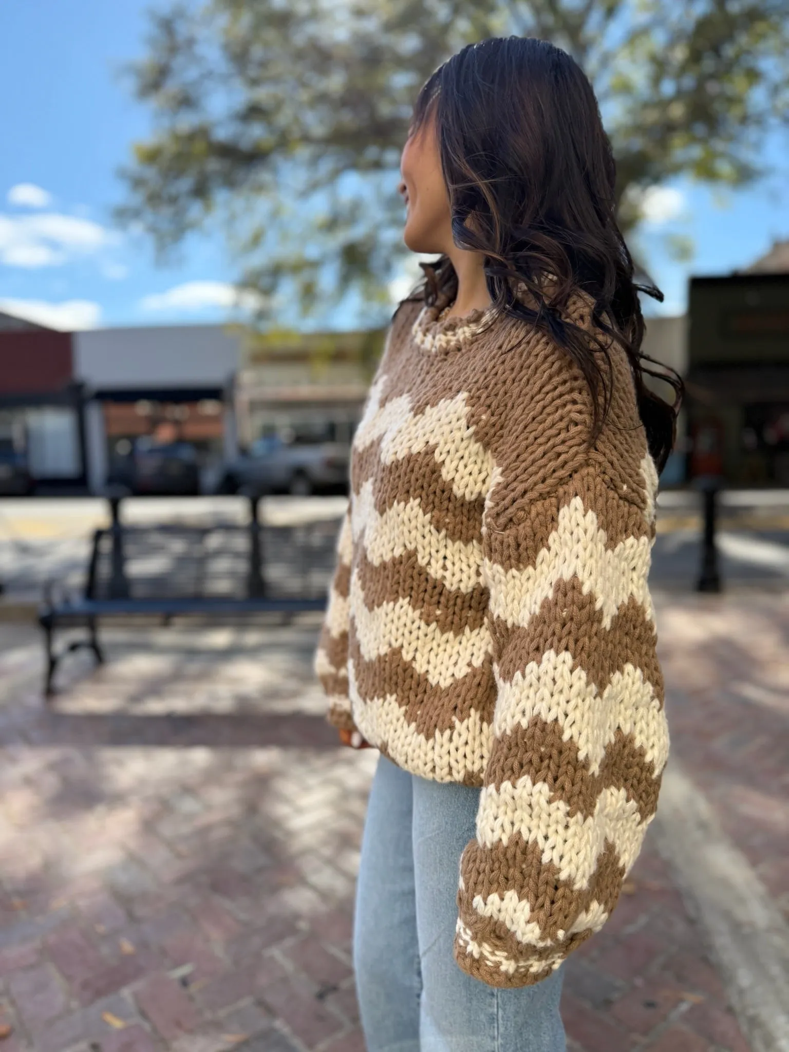 Horizon Chevron Knit Sweater