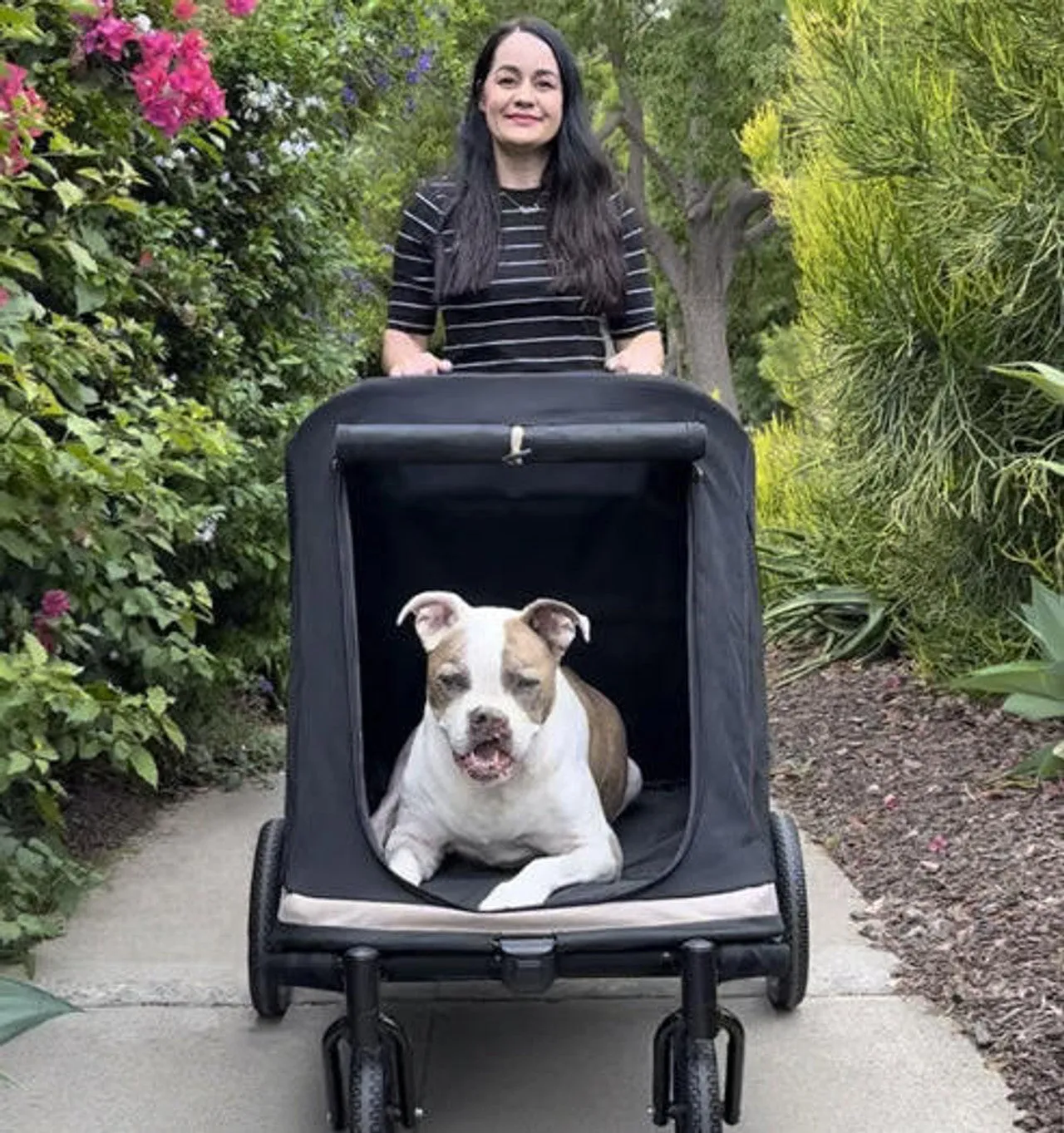 Ibiyaya Grand Cruiser XLarge Dog Stroller | >50kgs