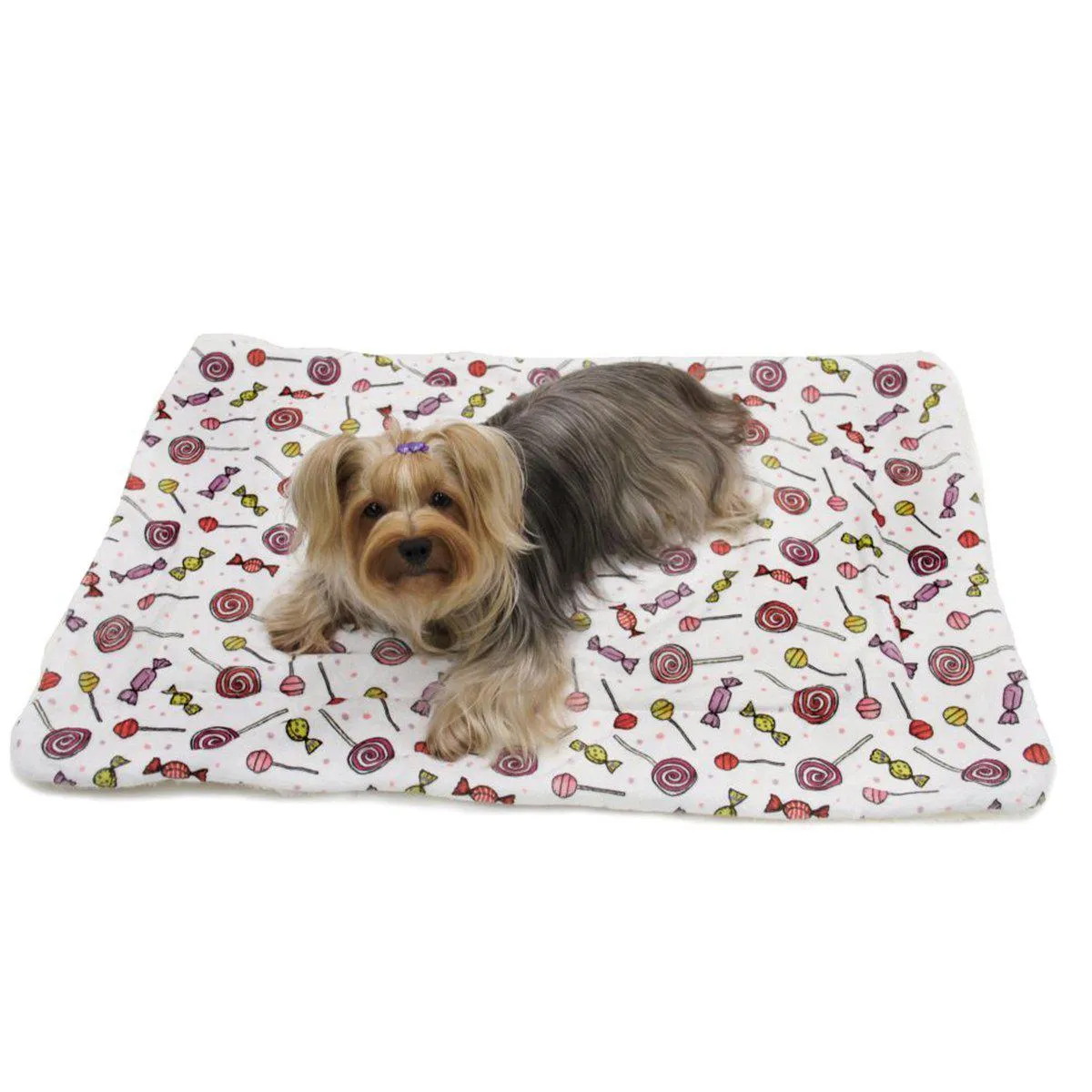 Ultra Soft Minky Sweet Candies Dog Blanket